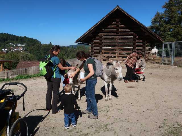 Ursa, Hannelore, Ella, Nils, Sabine und Manuel im Tierpark Buchenberg