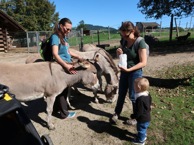 Ursa, Sabine und Nils im Tierpark Buchenberg